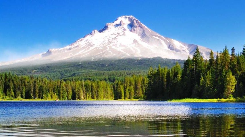 Portland Holistic Medicine